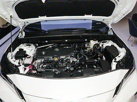 2024�� 2.5L���ܵ��˫�� ��������PLUS��