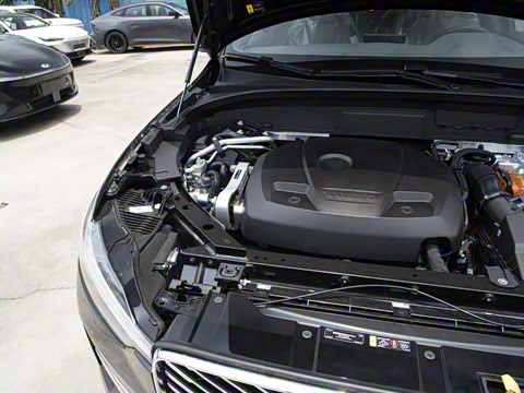 2026�� ���ʽ�춯 ������������Զ������