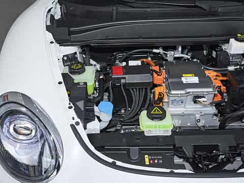 2025�� ľ���� 430km ������