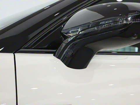 2024�� ��������������