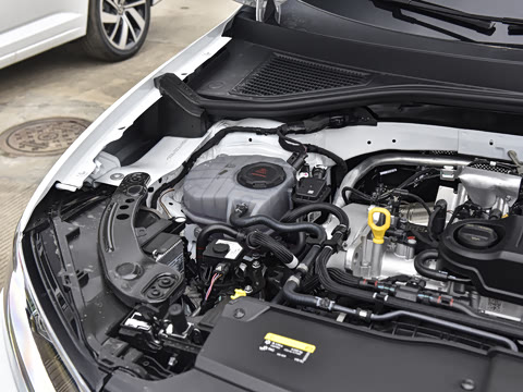 2025�� �Ŀ� 300TSI DSG�����ǹ��