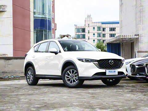 2024�� 2.0L �Զ�����������