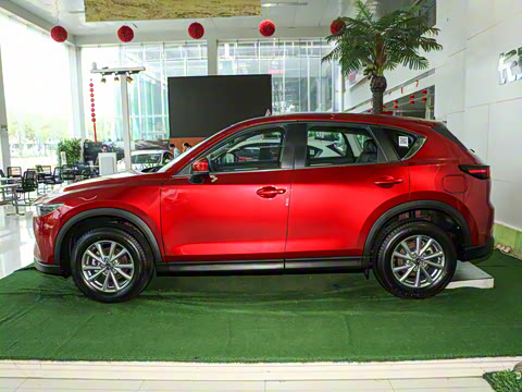 2024�� 2.0L �Զ���������Pro