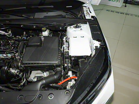 2025�� �ǻ������� 145KM ���ܰ�