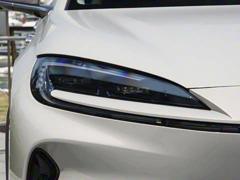 2025�� 135 �����ܼ����״��