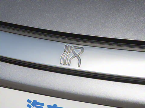 2025�� DM-i 125KM������