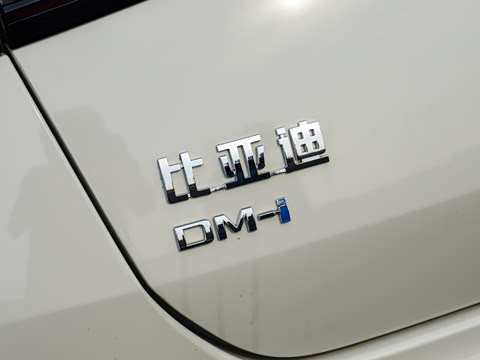 2025�� DM-i 1.5T 125km �콢��