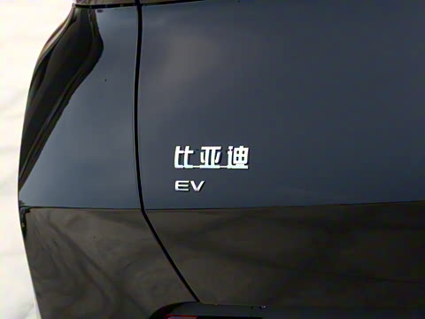 2025�� 305km ������