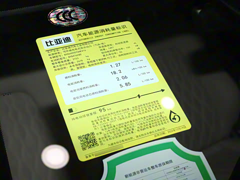 2024�� DM-i ��ҫ�� 112KM ������