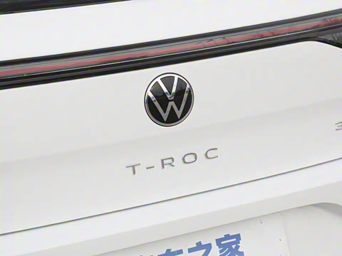 2025�� 300TSI DSG���������