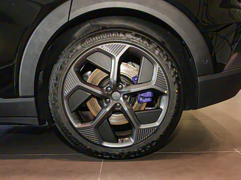 2025�� ���¿� Max