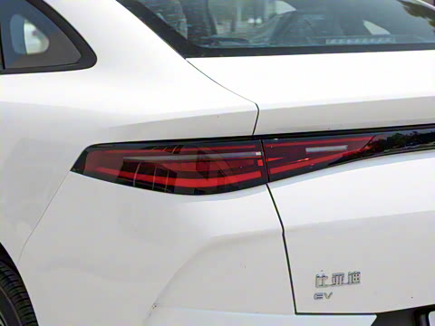 2025�� 520�ǻݰ�