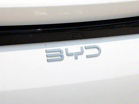 2025�� 520�ǻݰ�