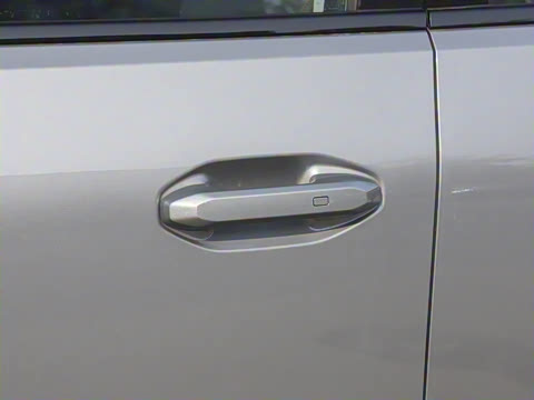 2024�� C-DM 206KM ����ɽҰ��