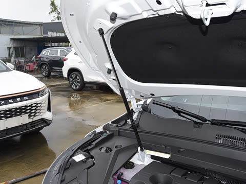 2025�� 300T ������ҫ��