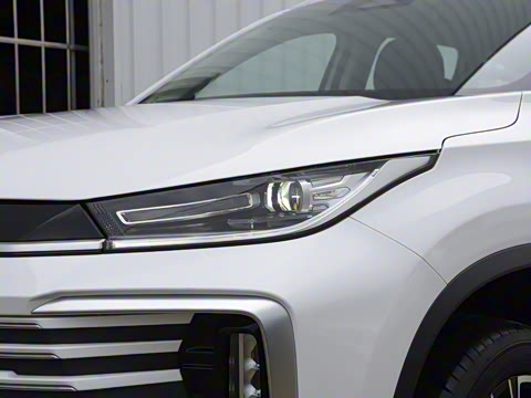 2025�� 300T ������ҫ��