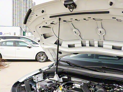 2025�� ���ڿ� 300TSI �Զ��������ڰ�