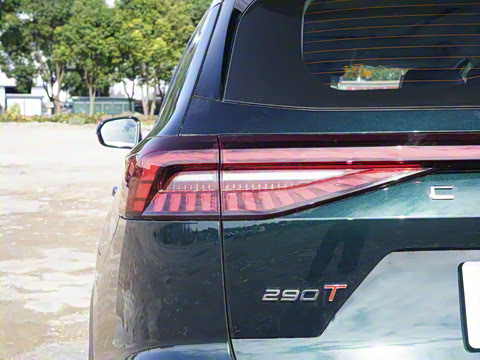 2025�� 290T ��������