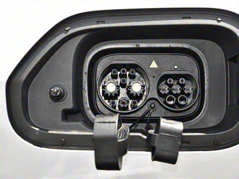 2024�� ����������