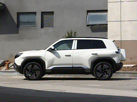 2025�� 501KM ����Max��