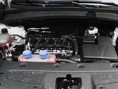 2025�� ����� 125 ������