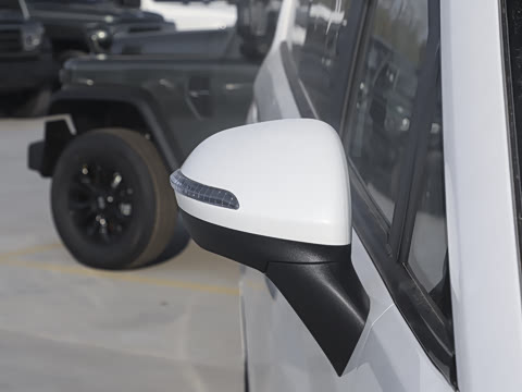 2025�� 2.0L CNG�߼�Ӫ�˺����� 9��