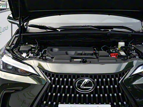 2024�� 260 ǰ�� ���ð�