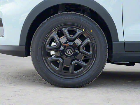 2025�� 310������