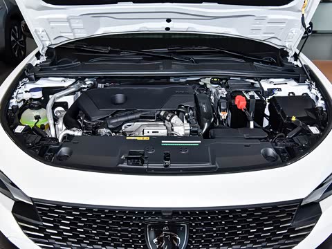 2025�� �Ŀ� RS