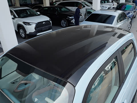 2025�� 310������