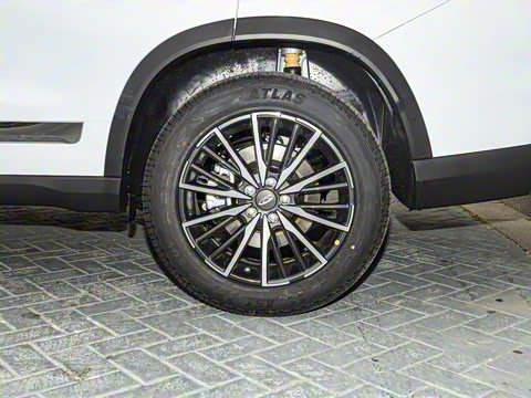 2025�� ׿Խ�� 230TCI �Զ������� 7��