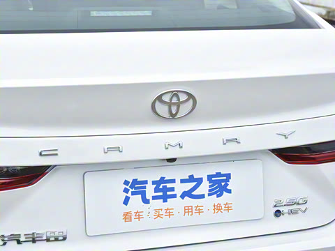 2024�� ˫�� 2.5HG ����