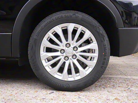 2024�� 25T ����������