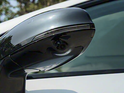 2025�� 650������