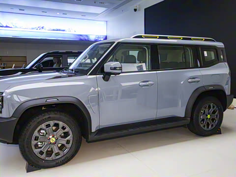 2024�� C-DM 206KM ����ɽҰ��