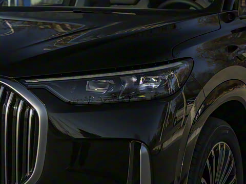 2025�� 1.5T 106KM������ 5�� �������