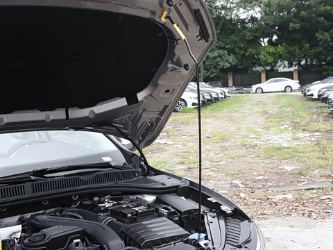 2025�� �Ŀ��� 300TSI DSG��Խ��