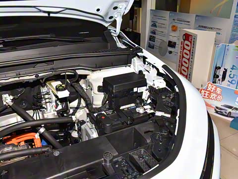 2024�� 605km ������ҫ��