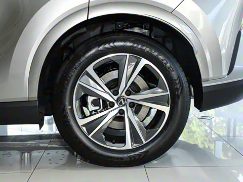 2023�� 350h ����������