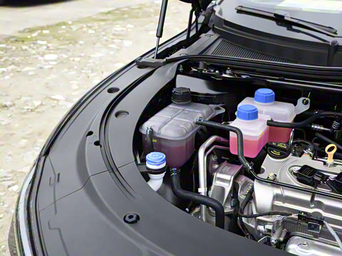 2025�� ���� ����� 230 ������