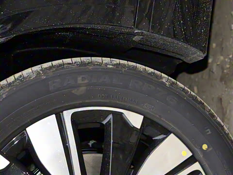 2025�� ���� ����� 230 ������