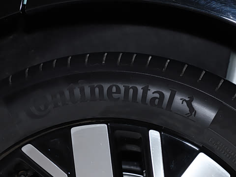 2025�� �������Ǽݰ�