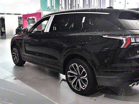 2024�� 2.0T �����˶��� ����