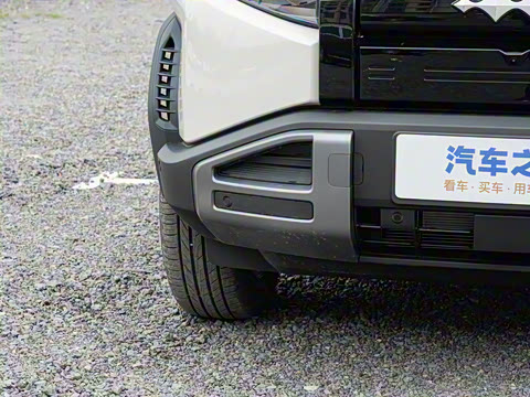 2025�� 501KM ����Max��