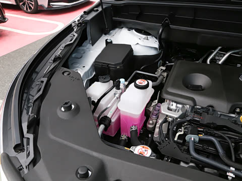 2024�� 2.5L HEV�����콢��