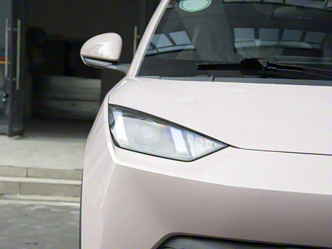 2025�� 305km ������