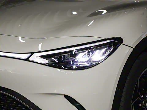 2026�� �Ͷ�������