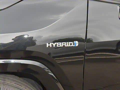 2024�� ˫�� 2.5L E-CVT��������PLUS��