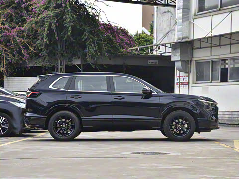 2025�� e:HEV ������ҫ��