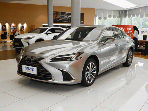 2025�� 300h ������